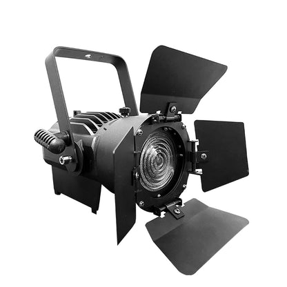 Mini Fresnel